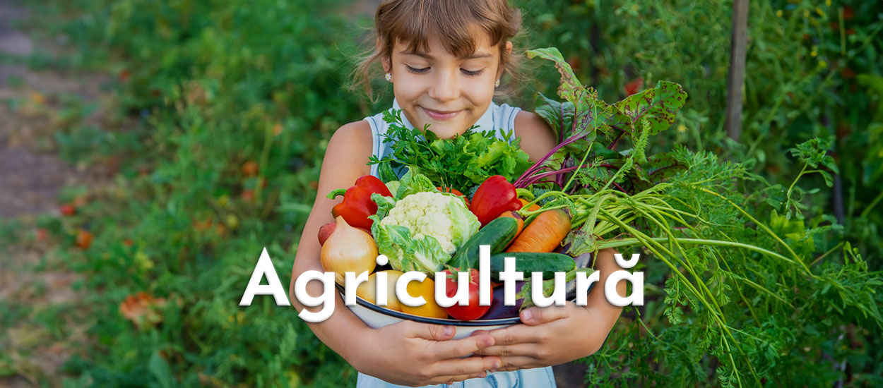 Modele de Cărți de Vizită pentru Agricultură - Vectorial Print
