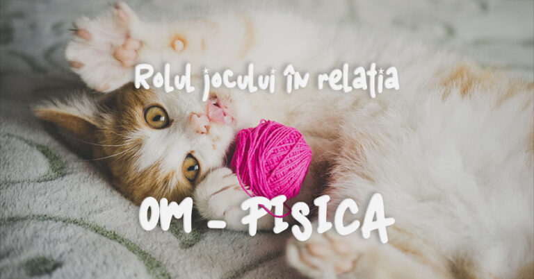 Rolul jocului în relația Om - Pisică